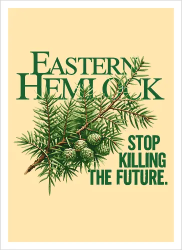 Natur Östliche Hemlocktanne – Kunst zur Sensibilisierung für den Wald