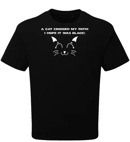 Eine schwarze Katze hat meinen Weg gekreuzt – ich liebe schwarze Katzen