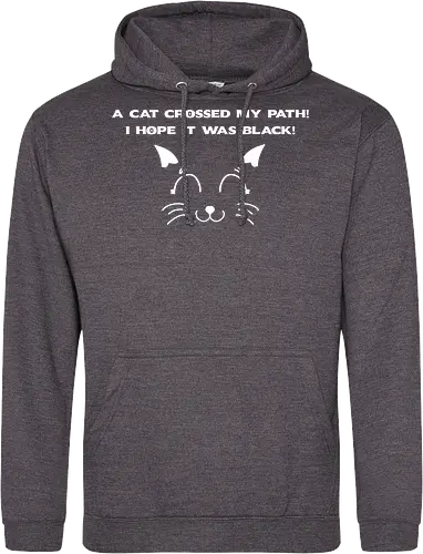 Eine schwarze Katze hat meinen Weg gekreuzt – ich liebe schwarze Katzen