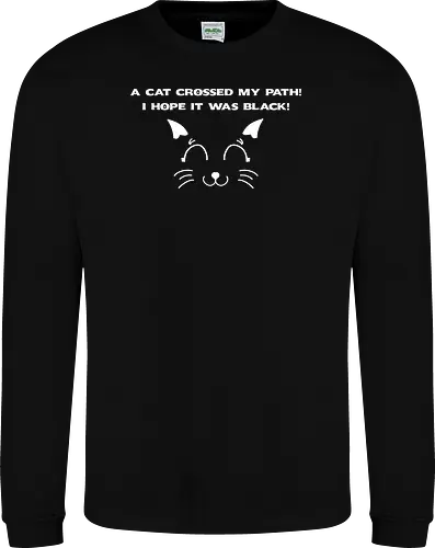 Eine schwarze Katze hat meinen Weg gekreuzt – ich liebe schwarze Katzen