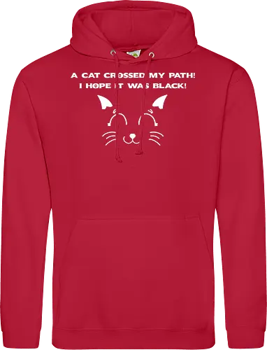 Eine schwarze Katze hat meinen Weg gekreuzt – ich liebe schwarze Katzen