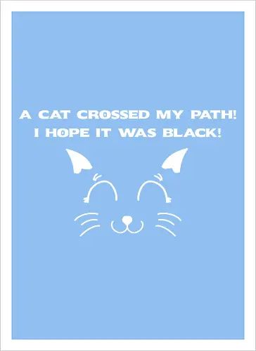 Eine schwarze Katze hat meinen Weg gekreuzt – ich liebe schwarze Katzen