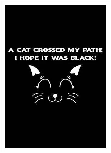Eine schwarze Katze hat meinen Weg gekreuzt – ich liebe schwarze Katzen