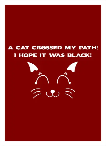 Eine schwarze Katze hat meinen Weg gekreuzt – ich liebe schwarze Katzen