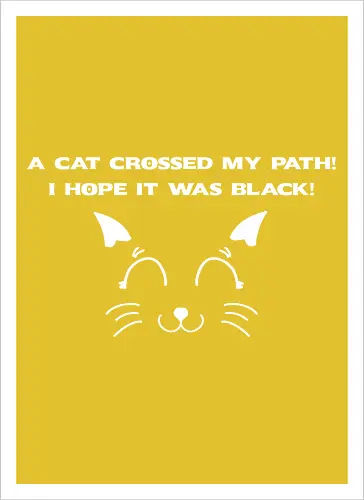 Eine schwarze Katze hat meinen Weg gekreuzt – ich liebe schwarze Katzen
