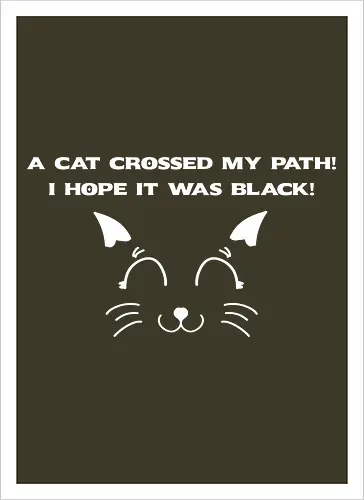 Eine schwarze Katze hat meinen Weg gekreuzt – ich liebe schwarze Katzen