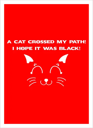 Eine schwarze Katze hat meinen Weg gekreuzt – ich liebe schwarze Katzen