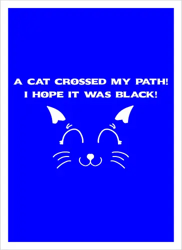 Eine schwarze Katze hat meinen Weg gekreuzt – ich liebe schwarze Katzen