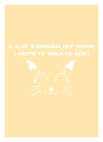 Eine schwarze Katze hat meinen Weg gekreuzt – ich liebe schwarze Katzen