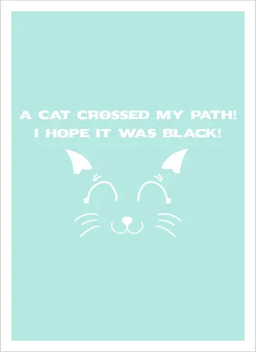 Eine schwarze Katze hat meinen Weg gekreuzt – ich liebe schwarze Katzen
