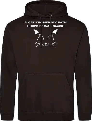 Eine schwarze Katze hat meinen Weg gekreuzt – ich liebe schwarze Katzen