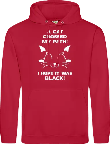 Eine schwarze Katze hat meinen Weg gekreuzt – ich liebe schwarze Katzen