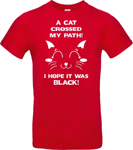 Eine schwarze Katze hat meinen Weg gekreuzt – ich liebe schwarze Katzen