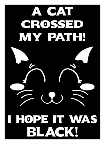 Eine schwarze Katze hat meinen Weg gekreuzt – ich liebe schwarze Katzen