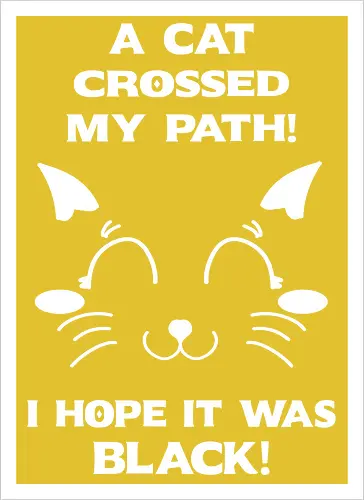 Eine schwarze Katze hat meinen Weg gekreuzt – ich liebe schwarze Katzen