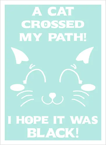 Eine schwarze Katze hat meinen Weg gekreuzt – ich liebe schwarze Katzen