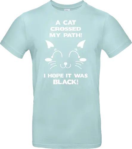 Eine schwarze Katze hat meinen Weg gekreuzt – ich liebe schwarze Katzen