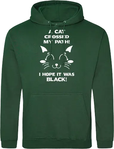 Eine schwarze Katze hat meinen Weg gekreuzt – ich liebe schwarze Katzen