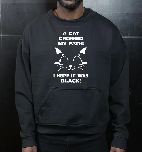 Eine schwarze Katze hat meinen Weg gekreuzt – ich liebe schwarze Katzen