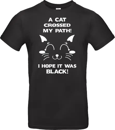 Eine schwarze Katze hat meinen Weg gekreuzt – ich liebe schwarze Katzen