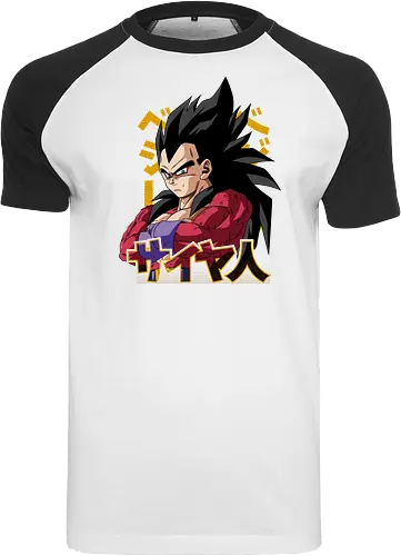 Vegeta Ssj4