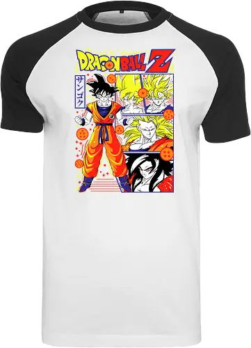 Goku Dragon Z