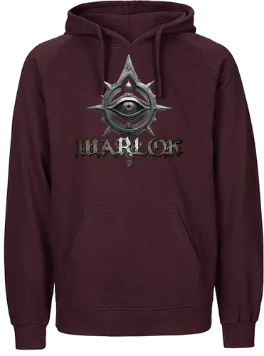 warlock class - warlock class, dungeons, dragons, dungeon master, forgotten realms, vecna, d20 dice, ravenloft, tabletop rpg, fantasy spell, fire ball, wizard, monster manual, mimic, black dragon - Fairtrade Hoodie