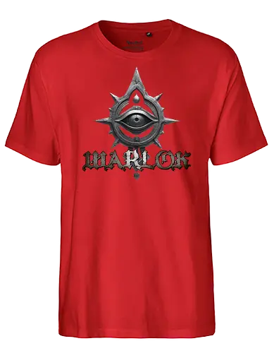 warlock class - warlock class, dungeons, dragons, dungeon master, forgotten realms, vecna, d20 dice, ravenloft, tabletop rpg, fantasy spell, fire ball, wizard, monster manual, mimic, black dragon - Fairtrade T-Shirt