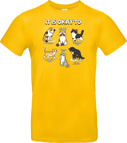 It Is Okay To