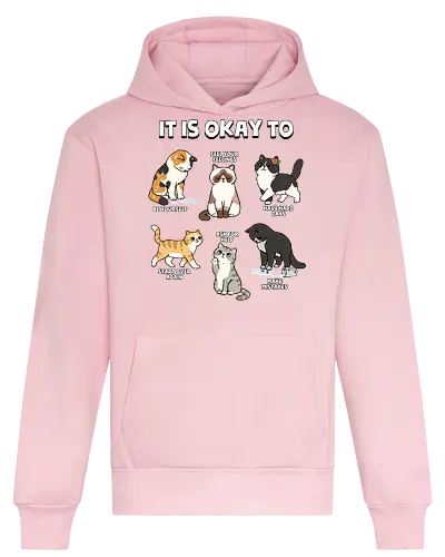 It Is Okay To - cat, always be yourself, ask for help, be yourself, cats, emotions, feel your feelings, feelings, inspirational, make mistakes, mental health, mental illness, motivational, motivational words, quotes - Heavyweight Hoodie