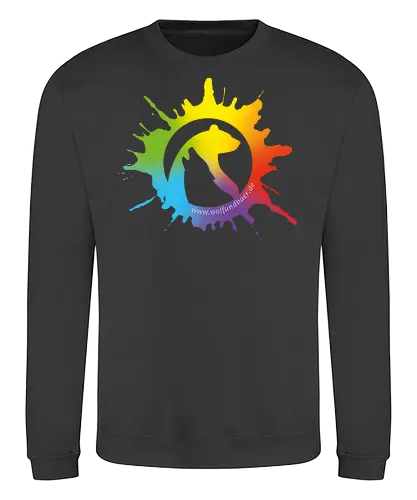 Logo (Bunt) - Sweatshirt