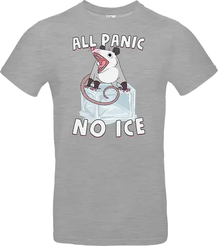 All Panic No Ice