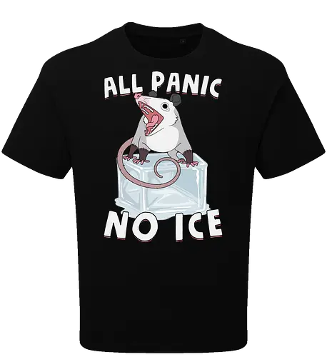 All Panic No Ice