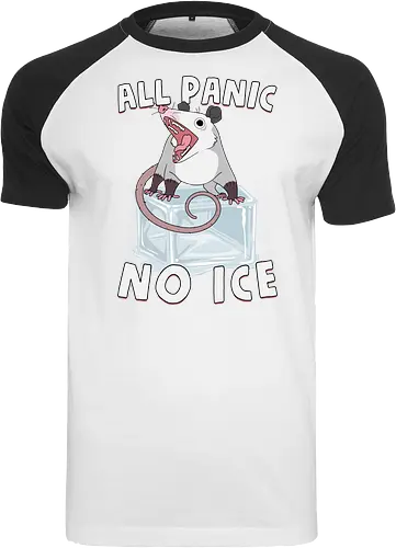 All Panic No Ice