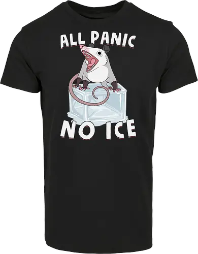 All Panic No Ice