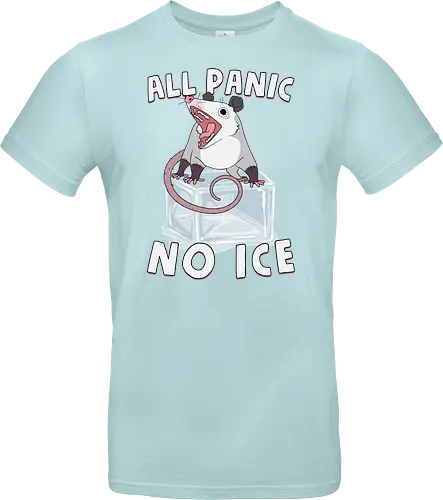 All Panic No Ice