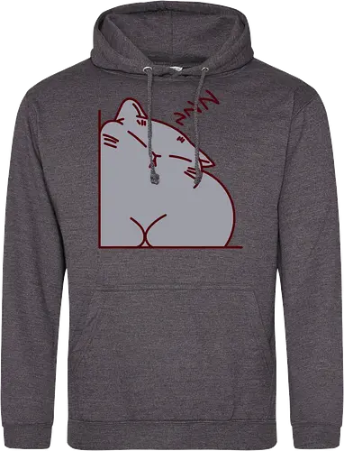 Graue Katze schläft