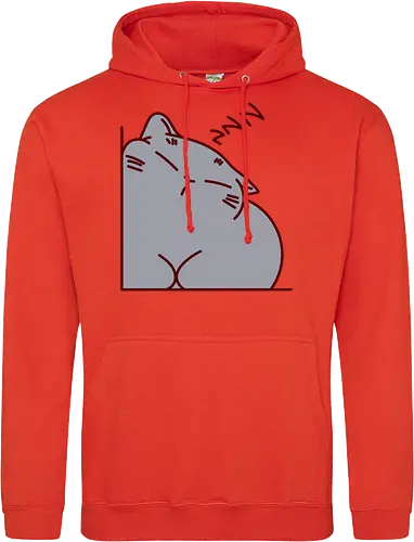 Graue Katze schläft