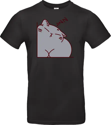 Graue Katze schläft