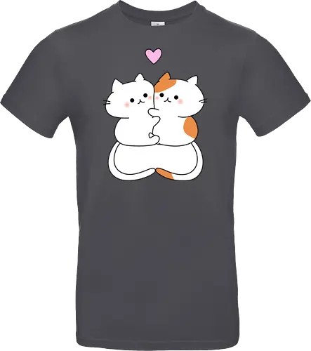 Katzen lieben Umarmungen