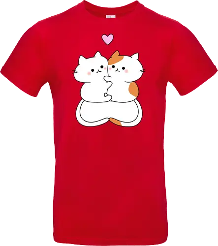 Katzen lieben Umarmungen