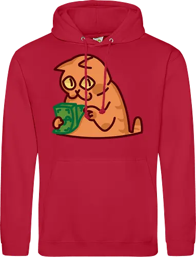 Gato contando dinero