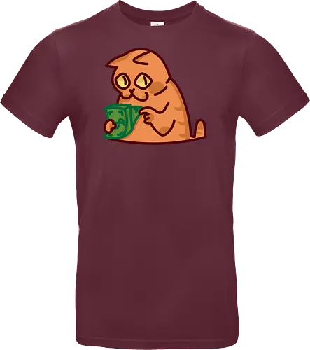 Gato contando dinero