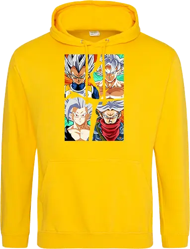 the four saiyan god