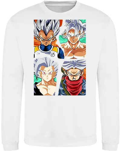 the four saiyan god