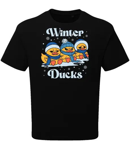Winter Ducks