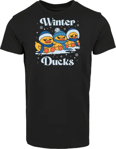 Winter Ducks