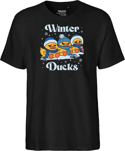 Winter Ducks