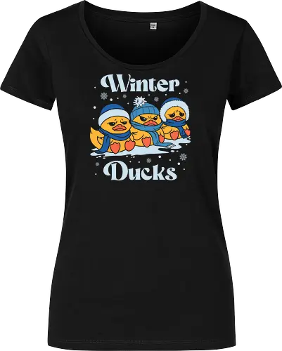 Winter Ducks