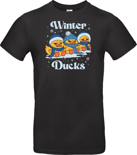Winter Ducks